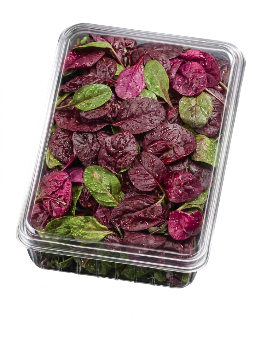 Baby Red Spinach