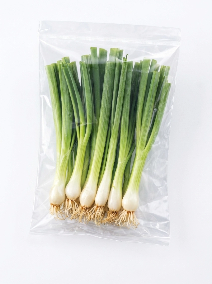 Spring Onion